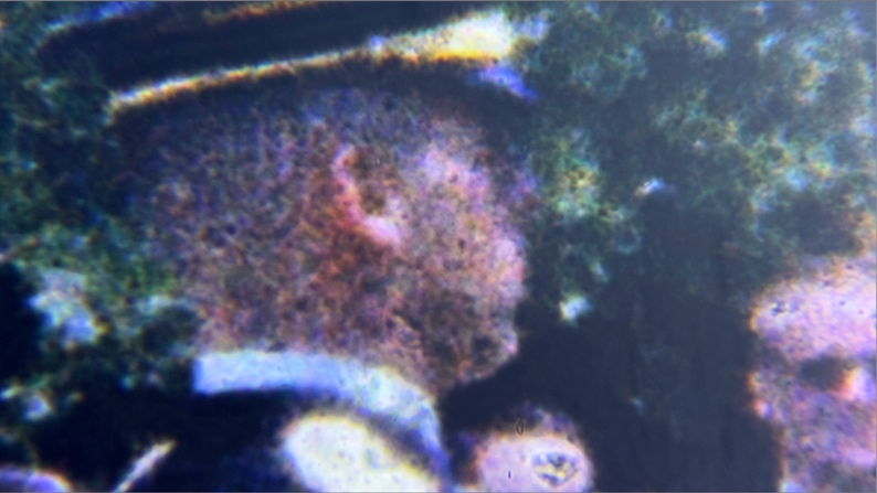 Figure 5. Ideal image (well exposed, focused, and motionless) of a soldier occupying about the same amount of the frame as JFK&rsquo;s head in the Zapruder film. (Source: The author&rsquo;s microscopic capture of...