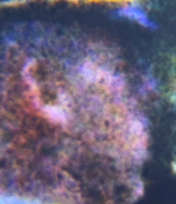 Figure 6. When we enlarge this same image, we realize how little detail there is. Our brains are adept at fabricating missing detail. (Source: See Figure 5)