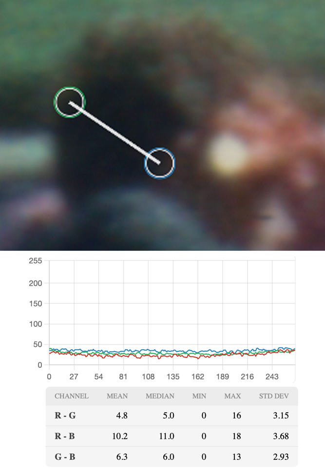Figure 20. Cropped image and graph of Frame 317 from the Museum scan (Source:[L17] analysis of Museum scan)