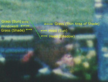 Figure 25. Connally shown in a crop of Frame 317. The windowsill and two shaded areas of grass are visible (Source: 4K scan; annotated by the author)
